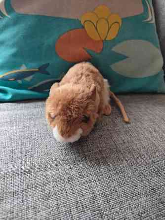 Jyrsijä pehmolelu Tampere