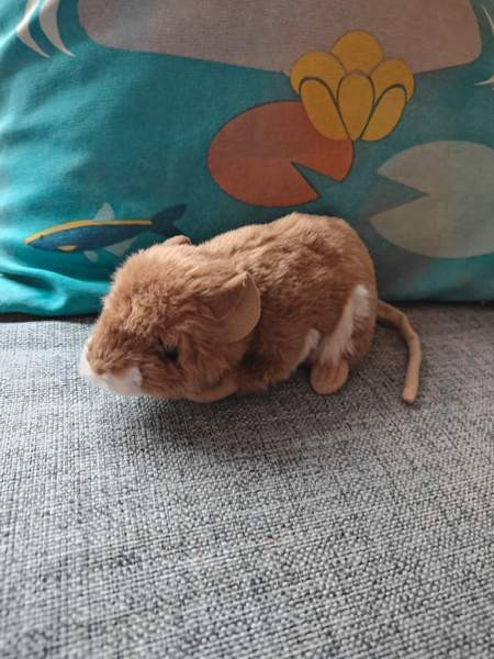 Jyrsijä pehmolelu Tampere - photo 1