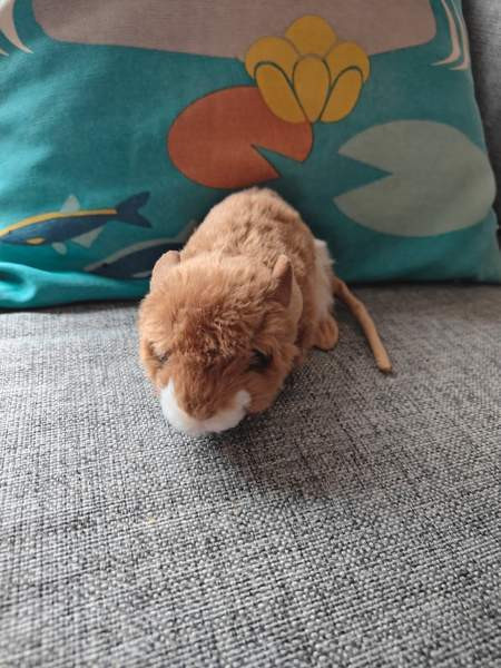 Jyrsijä pehmolelu Tampere - photo 2