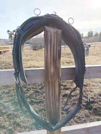 Sila, synteettinen Parkano