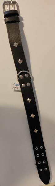 Kaulapanta koiralle Helsinki - valokuva 1