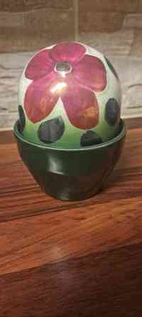 Arabian ikikukka Ilmajoki