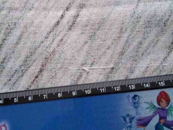 Fujiwo Ishimoto: Puro Rovaniemi