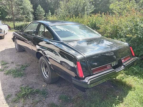 Buick Century Vihti - valokuva 2