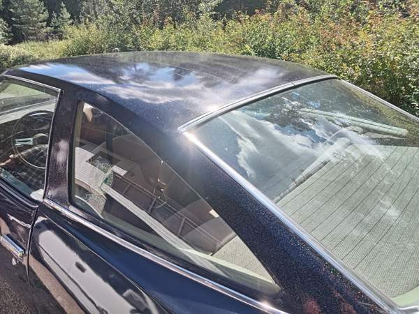 Buick Century Vihti - valokuva 3