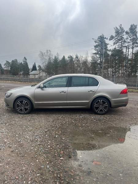 Skoda Superb Glebychevo - valokuva 3