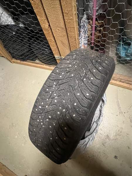 BMW 318 Turtkul - photo 6