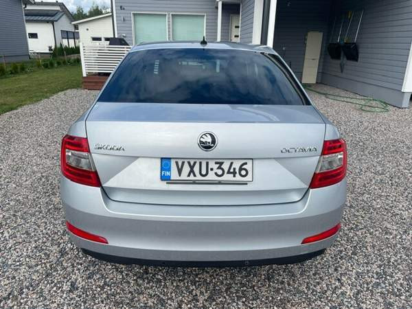 Skoda Octavia Glebychevo - photo 4