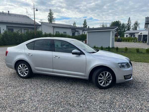 Skoda Octavia Glebychevo - photo 3