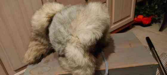 Sinikettu karvalakki Lohja