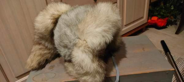 Sinikettu karvalakki Lohja – foto 2