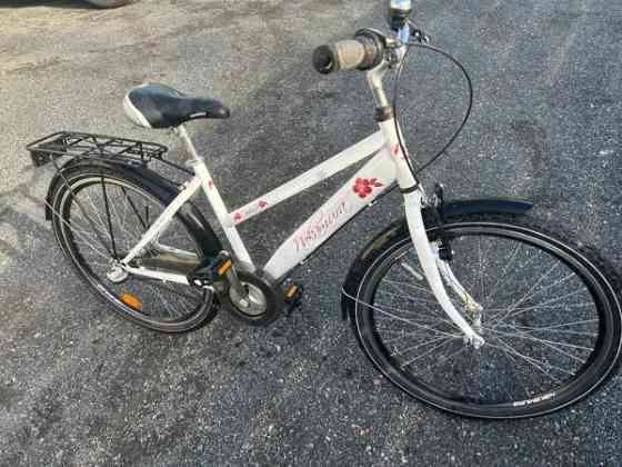 Nakamura cindy 24” Helsinki