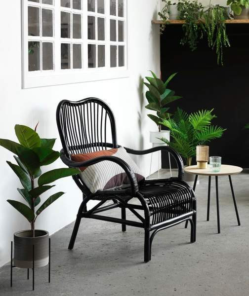 Rottinkituolit Helsinki - valokuva 1