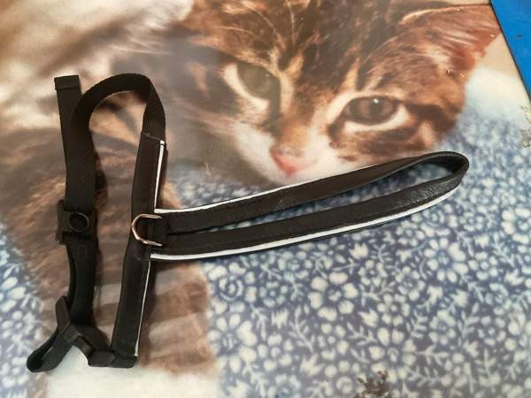 Kissan valjaat Lahti - valokuva 1