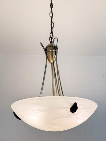 Kattovalaisin Kaarina - valokuva 2