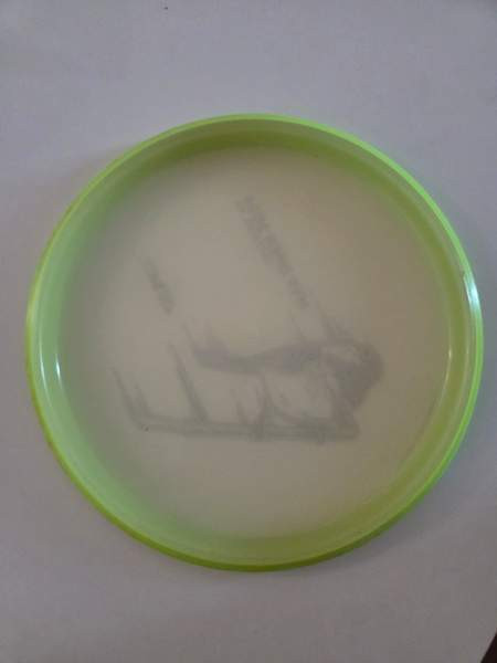 Frisbeegolf Axiom Tempo Järvenpää - valokuva 2