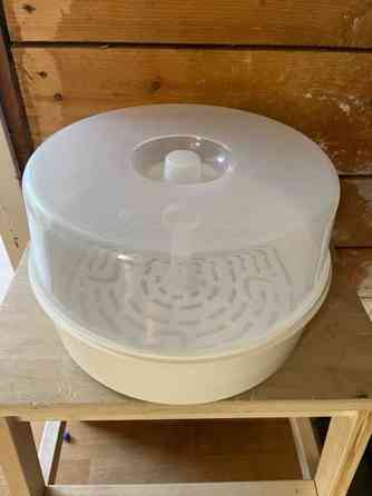 Mikrosteriloija Maentsaelae