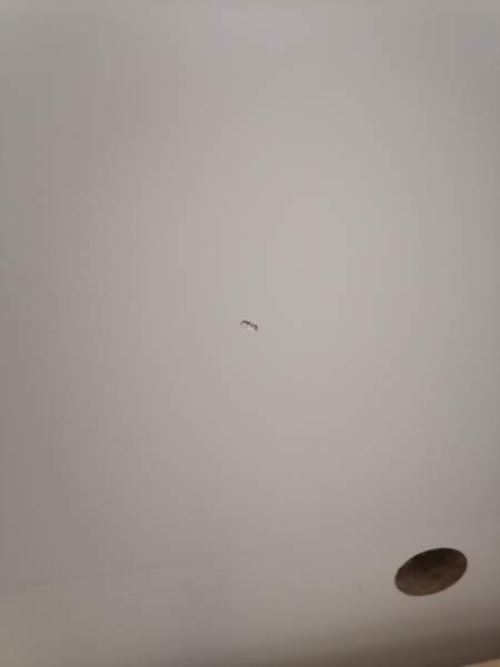 IKEA Malm sängynrunko Rovaniemi - photo 6