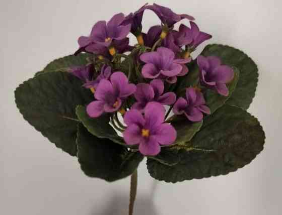 TEKOKUKKA Saintpaulia violetti 22 cm (vintage) Tampere