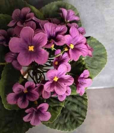 TEKOKUKKA Saintpaulia violetti 22 cm (vintage) Tampere