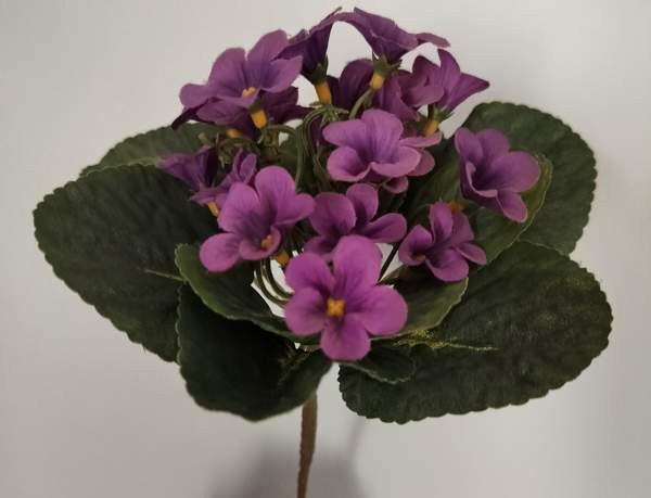 TEKOKUKKA Saintpaulia violetti 22 cm (vintage) Tampere – foto 2
