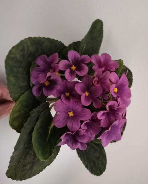 TEKOKUKKA Saintpaulia violetti 22 cm (vintage) Tampere – foto 3
