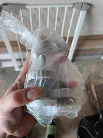 Lapsi/koiraportti Lahti