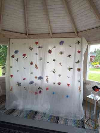 Hääkaari Рованиеми