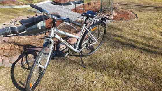 Marin City Series Lakspur Naisten Polkupyörä Ulvila