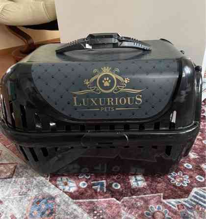 Kissan / pienen lemmikin kantokoppa Oulu