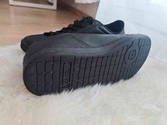 Lacoste lasten kengät koko 36 Helsinki