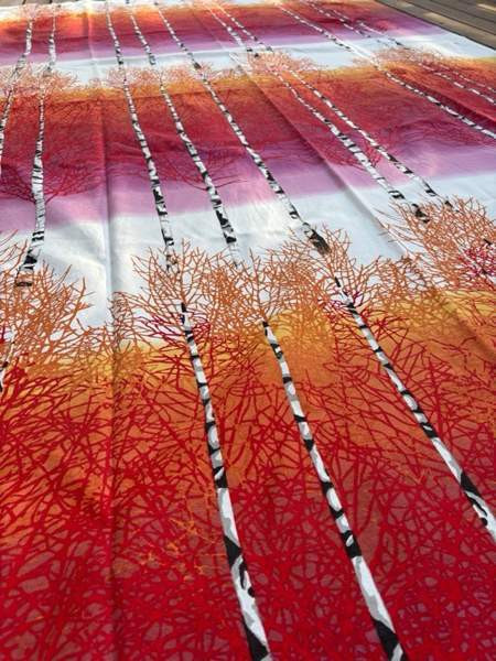 Vallila Kouvola - valokuva 5