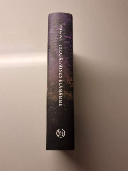 Riikka Pelo: Jokapäiväinen elämämme Helsinki – foto 2