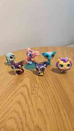 6kpl LPS leluja Jaervenpaeae