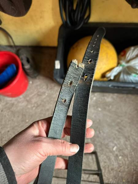 Globus koulusatula Tampere - valokuva 2