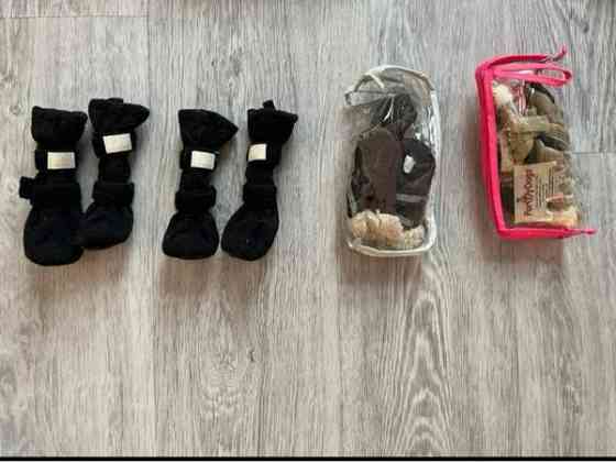 Koiran vaatteet ja jalkineet Jyvaeskylae