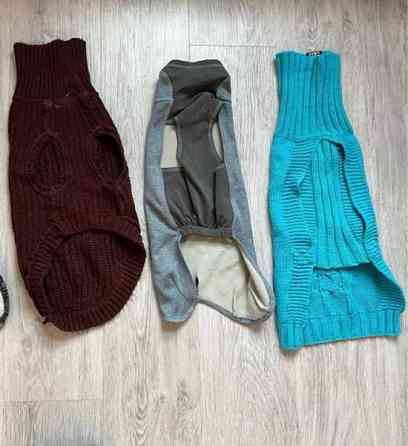 Koiran vaatteet ja jalkineet Jyvaeskylae