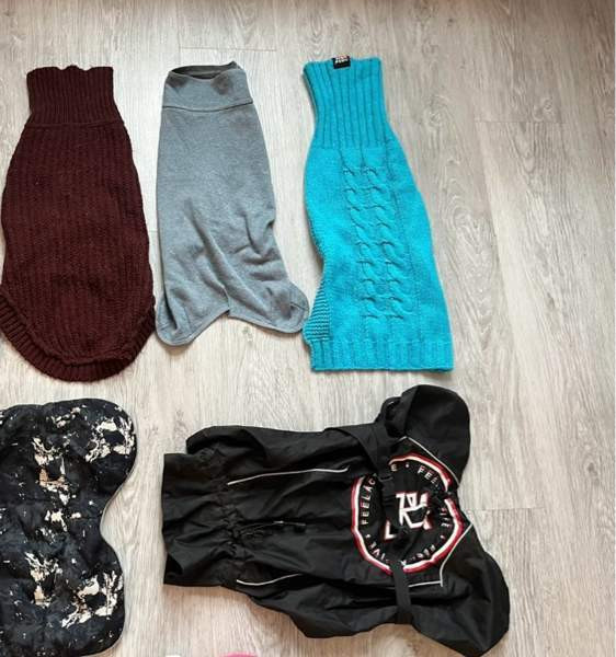 Koiran vaatteet ja jalkineet Jyvaeskylae - photo 1