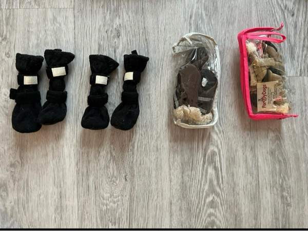 Koiran vaatteet ja jalkineet Jyvaeskylae - photo 2