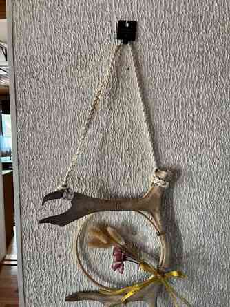 Poronsarvi unisieppari Maentsaelae