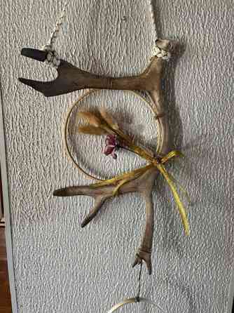 Poronsarvi unisieppari Maentsaelae