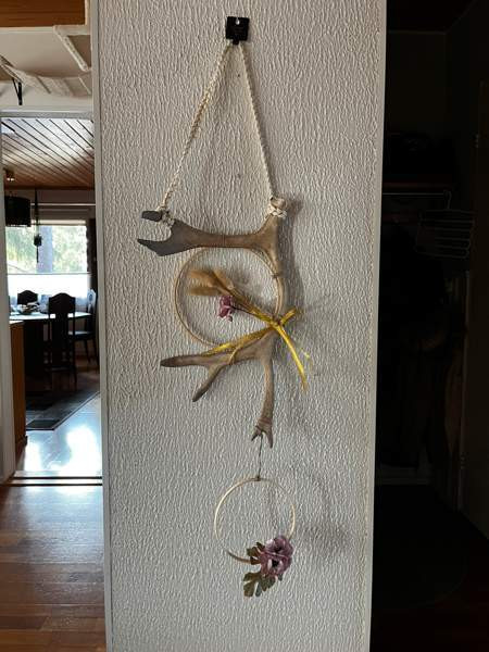 Poronsarvi unisieppari Maentsaelae - photo 1