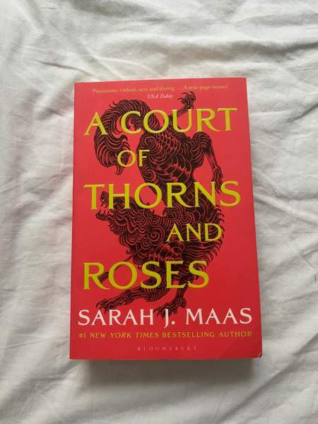 A court of thorns and roses kirja Inkoo – foto 1