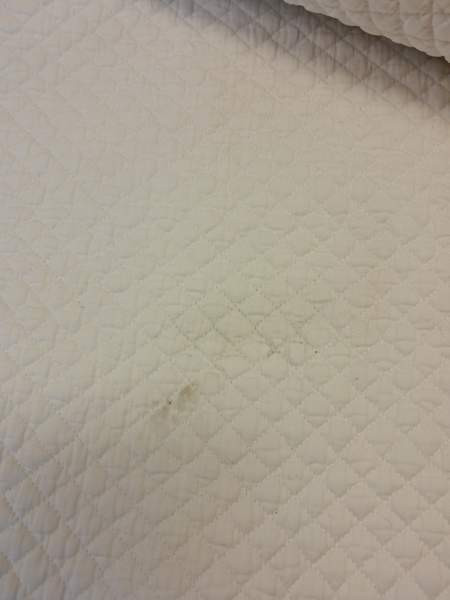 Kaksi satulahuopaa Kauhava – foto 3