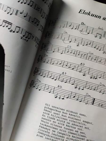 Aini Heinäsen lauluja Каяни - изображение 6