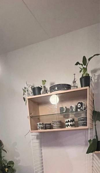 String vitriinikaappi, saarni Espoo – foto 1