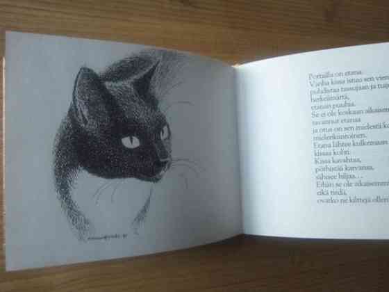 Kissa ja merimies - Tittamari Marttinen Pirkkala