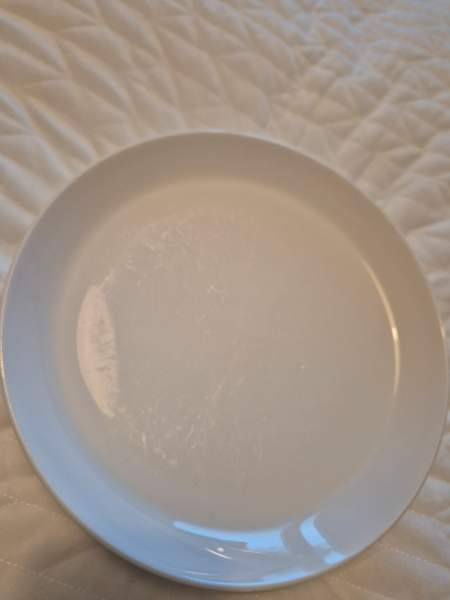 Valkoiset House lautaset Oulu - valokuva 4