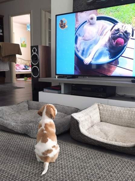 Pentu Liperi – foto 3