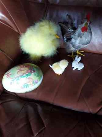 Pääsiäiskoristeet Kotka